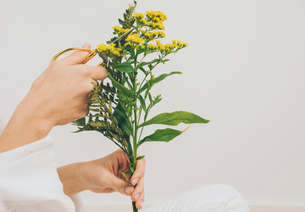 herbs for Hand growth
