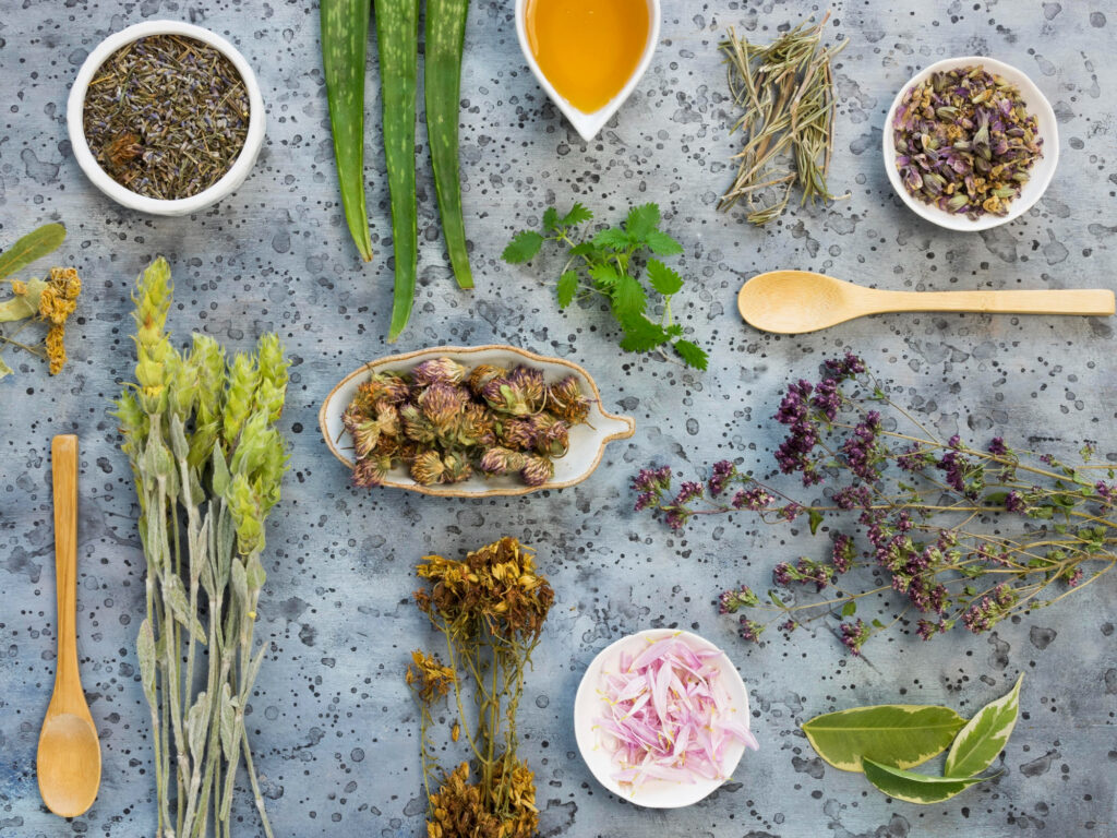herbs for hair growth